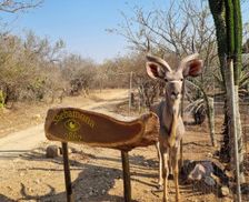 South Africa Mpumalanga Marloth Park vacation rental compare prices direct by owner 28412572