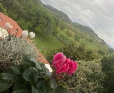 Italy Friuli Venezia Giulia Cormòns vacation rental compare prices direct by owner 26300717