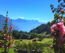 Switzerland Canton of Glarus Filzbach vacation rental compare prices direct by owner 14411524