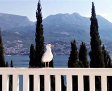 Montenegro Herceg Novi County Herceg-Novi vacation rental compare prices direct by owner 26899201