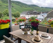 Germany Rhineland-Palatinate Trittenheim vacation rental compare prices direct by owner 15924284