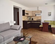 Czechia Usti nad Labem Mikulov v Krušných Horách vacation rental compare prices direct by owner 16110644