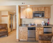 United States Colorado Crested Butte vacation rental compare prices direct by owner 9336072