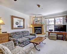 United States Colorado Breckenridge vacation rental compare prices direct by owner 19648033