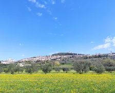 Italy Umbria Santa Maria degli Angeli vacation rental compare prices direct by owner 28723385