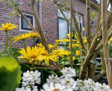 Netherlands Friesland Niawier vacation rental compare prices direct by owner 18129976