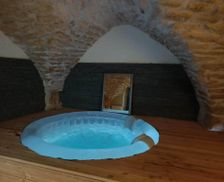 France Languedoc-Roussillon Aigues-Vives vacation rental compare prices direct by owner 26941973