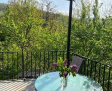 Georgia Kakheti Sighnaghi vacation rental compare prices direct by owner 26938134