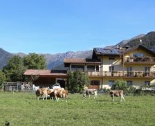 Italy Trentino Alto Adige Enguiso vacation rental compare prices direct by owner 29264458