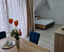 Romania Arad Arad vacation rental compare prices direct by owner 26983177
