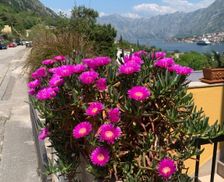 Montenegro Kotor County Kotor vacation rental compare prices direct by owner 28949370
