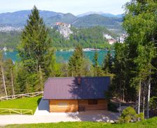 Slovenia Gorenjska Bled vacation rental compare prices direct by owner 28764918