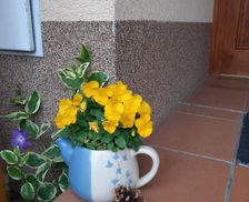 Czechia South Moravian Region Holštejn vacation rental compare prices direct by owner 12994893