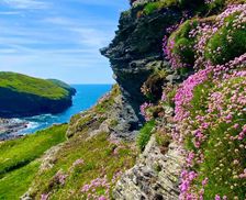 United Kingdom Cornwall Boscastle vacation rental compare prices direct by owner 18853823