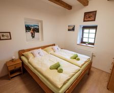 Czechia South Bohemia Rožmberk nad Vltavou vacation rental compare prices direct by owner 26763847