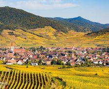 France Alsace Ammerschwihr vacation rental compare prices direct by owner 29490836