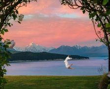 New Zealand Canterbury Lake Pukaki vacation rental compare prices direct by owner 28360212