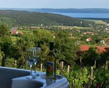 Hungary Veszprem Mencshely vacation rental compare prices direct by owner 26971075