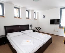 Czechia Pilsen Horažďovice vacation rental compare prices direct by owner 26860023