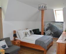 Poland Lesser Poland Rabka-Zdrój vacation rental compare prices direct by owner 26681708