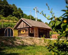 Slovenia Dolenjska (Lower Carniola) Otočec vacation rental compare prices direct by owner 28763923