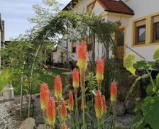 Austria Burgenland Illmitz vacation rental compare prices direct by owner 26914571