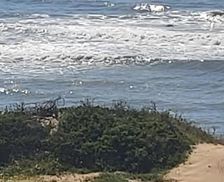 South Africa Eastern Cape Port Alfred vacation rental compare prices direct by owner 29446401