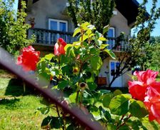Montenegro  Vojno Selo vacation rental compare prices direct by owner 29138362