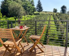 Slovenia Pomurje Dobrovnik vacation rental compare prices direct by owner 28590058