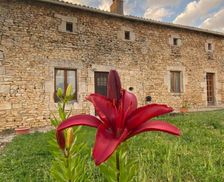 France Nouvelle-Aquitaine Savigné vacation rental compare prices direct by owner 28128291