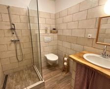 Czechia Moravia-Silesia Háj ve Slezsku vacation rental compare prices direct by owner 14071012