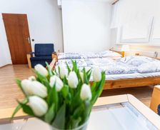 Czechia Hradec Kralove Nové Město nad Metují vacation rental compare prices direct by owner 35787017