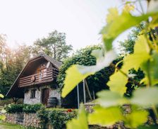 Slovenia Dolenjska (Lower Carniola) Trška Gora vacation rental compare prices direct by owner 28387384