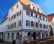 Germany Baden-Württemberg Mosbach vacation rental compare prices direct by owner 13675818