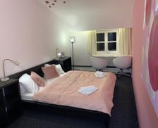 Czechia Hradec Kralove Hostinné vacation rental compare prices direct by owner 26065791