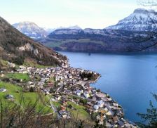 Switzerland Canton of Schwyz Gersau vacation rental compare prices direct by owner 27660922