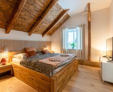 Czechia Olomouc Region Velké Losiny vacation rental compare prices direct by owner 27041530