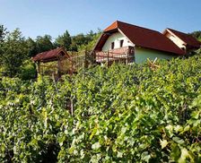 Slovenia Dolenjska (Lower Carniola) Otočec vacation rental compare prices direct by owner 27006055