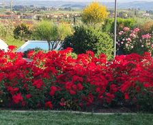 Italy Tuscany Malmantile vacation rental compare prices direct by owner 28417744