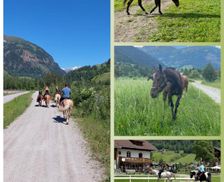 Austria Carinthia Döllach vacation rental compare prices direct by owner 27084030