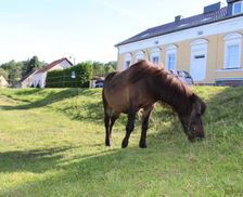 Germany Mecklenburg-Vorpommern Falkenberg vacation rental compare prices direct by owner 26928585