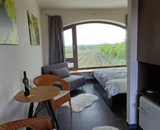 Czechia South Moravian Region Prušánky vacation rental compare prices direct by owner 27057228