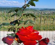 Italy Friuli Venezia Giulia Rosazzo vacation rental compare prices direct by owner 13970614