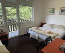 Czechia Usti nad Labem Děčín vacation rental compare prices direct by owner 35041421