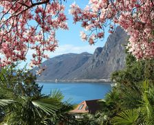 Switzerland Canton of Ticino Lugano vacation rental compare prices direct by owner 17788060