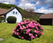 France Franche-Comté Lepuix vacation rental compare prices direct by owner 35458325