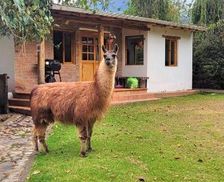 Ecuador Imbabura Otavalo vacation rental compare prices direct by owner 32505321