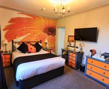 United Kingdom  Torquay vacation rental compare prices direct by owner 18152330