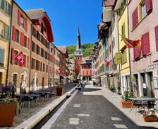 Switzerland Canton of Bern La Neuveville vacation rental compare prices direct by owner 35846473