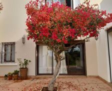 Morocco Casablanca-Settat El Jadida vacation rental compare prices direct by owner 14108605